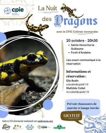 La nuit des dragons