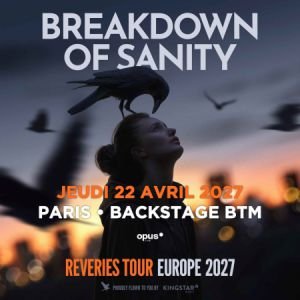 BREAKDOWN OF SANITY