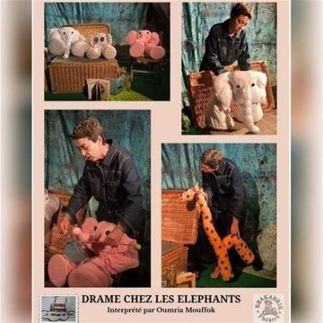 Drame chez les éléphants