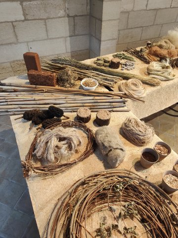 Exposition "Inviter le végétal"