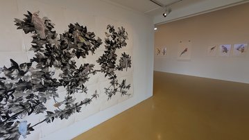 Exposition à Laon : "Il y a des fleurs partout pour qui veut bien les voir"