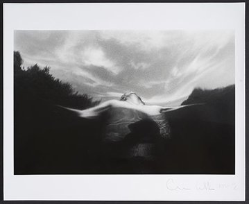 S’enraciner au fil de l’eau - H2O au Musée du Car