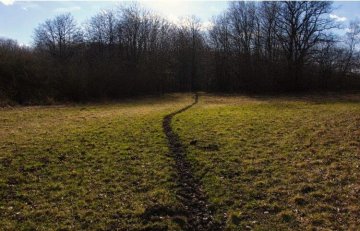 Balade nature - Sur les traces des animaux de la forêt