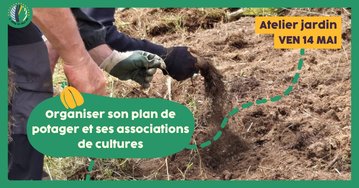 Atelier jardin : Organiser son plan de potager et ses associations de cultures