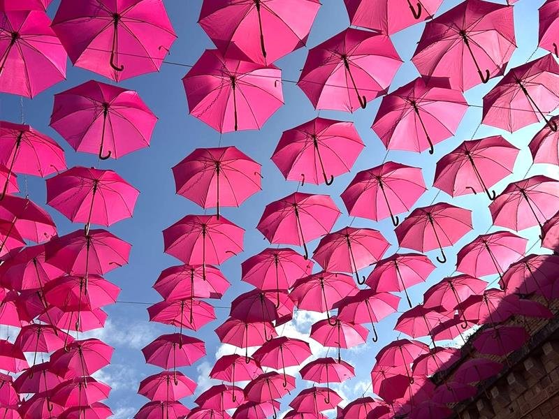 Toul'en Rose