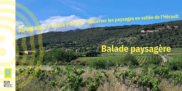 Balade paysagère à Montpeyroux