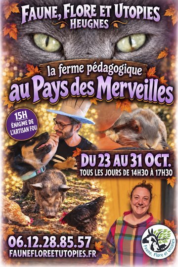 Halloween aux pays des merveilles !