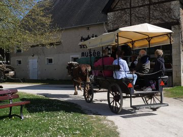 Balade en calèche