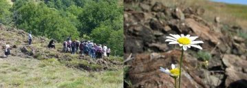 Sortie nature à la découverte du Puy de Wolf, site Natura 2000 exceptionnel !