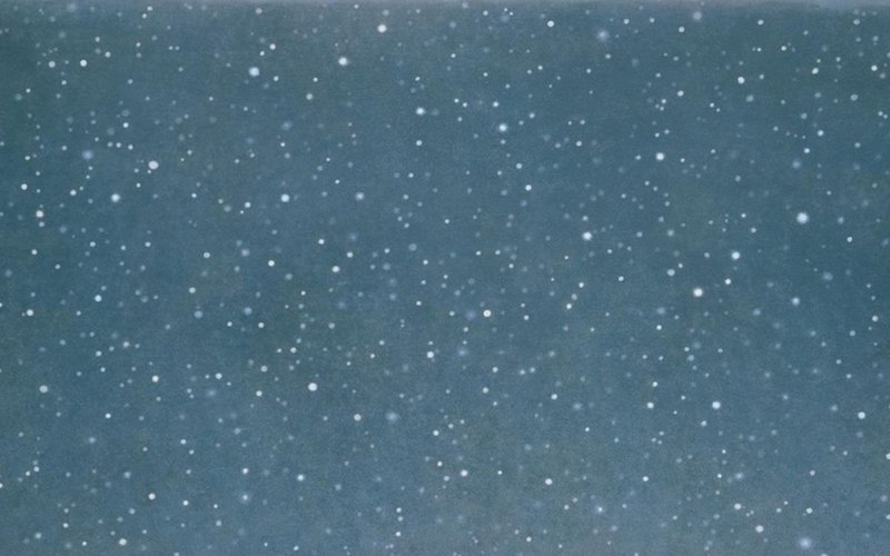 Contrepoint contemporain. Vija Celmins