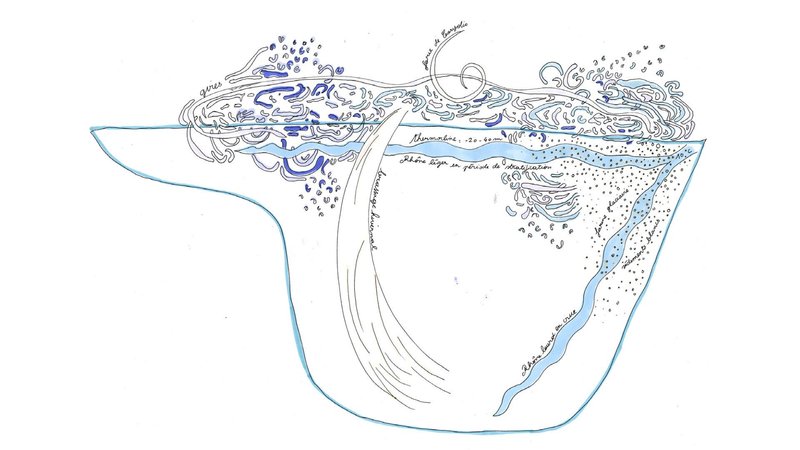 Les respirations du Léman en chansons
