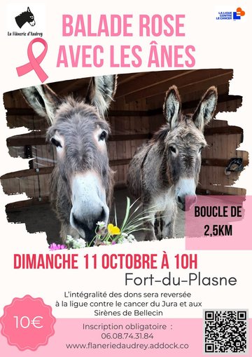Balade rose avec les ânes