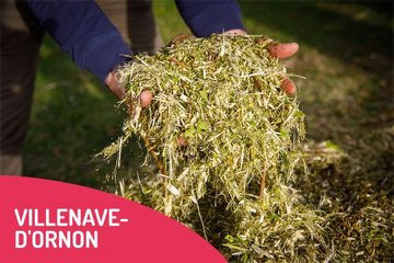 Distribution de broyat gratuit