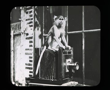La Co-élaboration artistique des Archives : une œuvre photographique collective, participative et citoyenne.