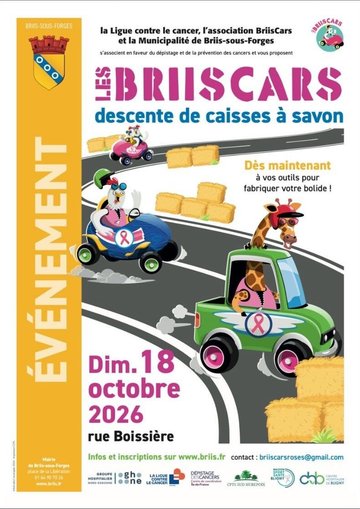 BriisCars