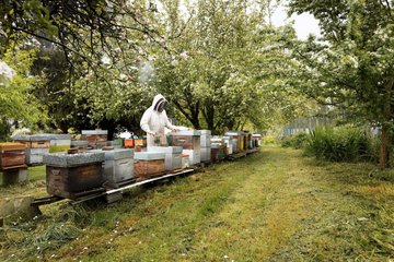 Journées portes ouvertes dans une exploitation malouine