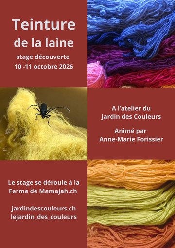stage de découverte de la teinture de la laine