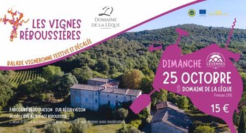 Les vignes réboussières