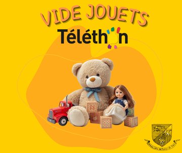 Vide jouets - Pirates de Cour - Téléthon 2026