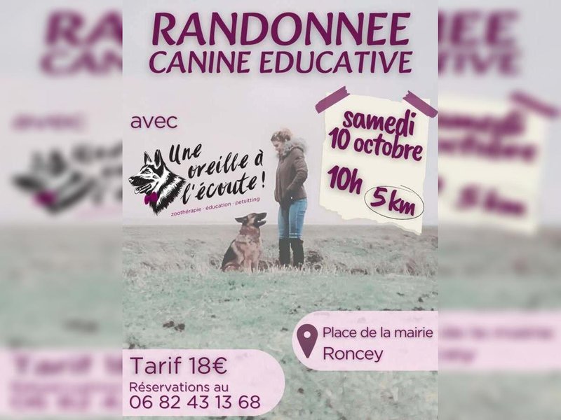 Randonnée canine éducative
