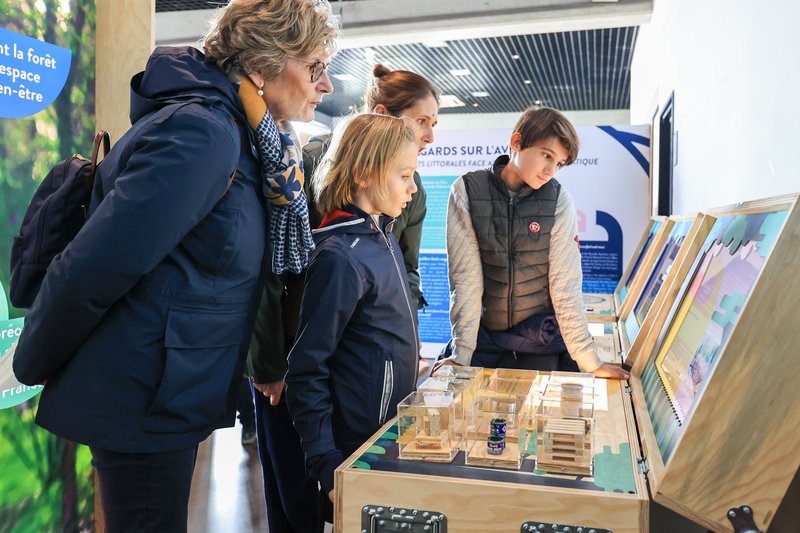 Visite en accès libre de l'exposition "Dunes et forêts, les gardiennes du littoral"