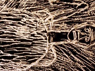 Exposition : palette d'émotions