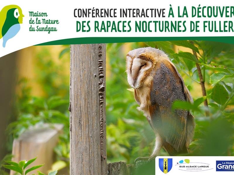 Conférence interactive à la découverte des rapaces nocturnes à Fulleren