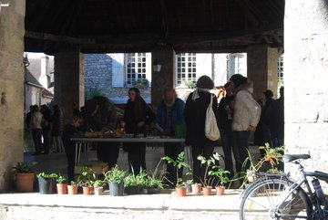 Nos amies les plantes