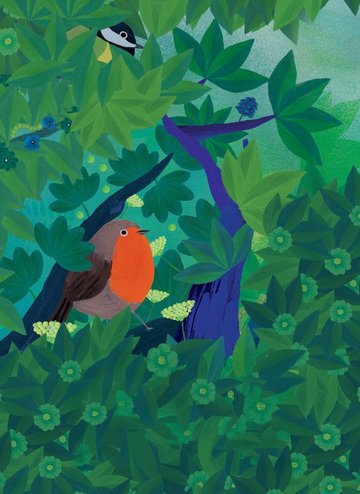 Observons les oiseaux