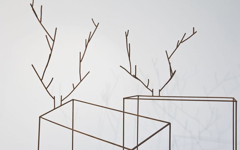 Découvrez l'exposition « Éloge du trait » dans la collection agnès b.