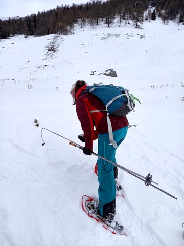 Initiation à la recherche de victime d’avalanche
