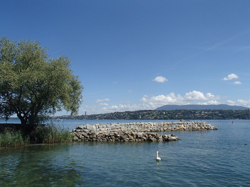 Lecture du paysage et histoire du Léman en balade au bord du lac