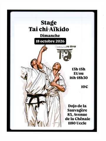 Stage d'Aikido-Tai Chi chez Tebanasuryu