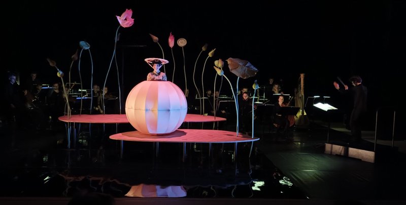Momo l'enfant pêche – avec l'Orchestre de Chambre de Genève