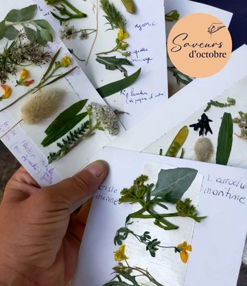 Enquête au village - Saveurs d'octobre