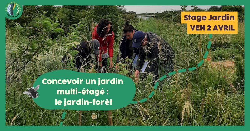Stage 1 jour : Concevoir un jardin multi-étagé : le jardin-forêt