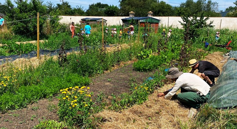 Stage 2 jours : Concevoir et cultiver son potager au naturel
