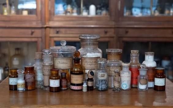 Présentation de l'exposition "Drogues" au Musée de l'Homme