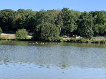 Rando 1/2 journée
