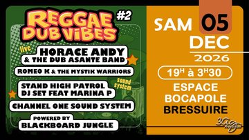 Reggae Dub Vibes 2