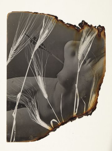Exposition de Pierre Jahan, A Retrospective - Galerie Jean-François Cazeau