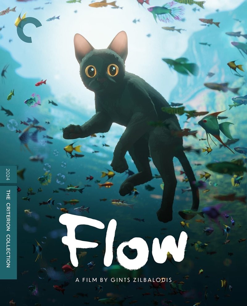 Flow