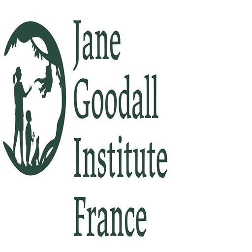 Animation avec le Jane Goodal Institute