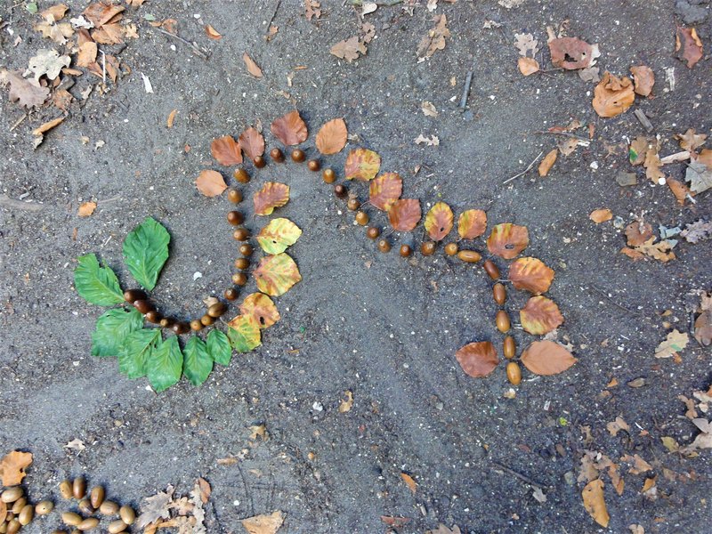 Balade créative en forêt