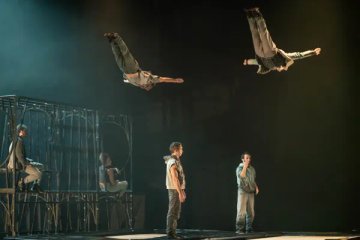 La Baleine : Cirque " Face aux murs"