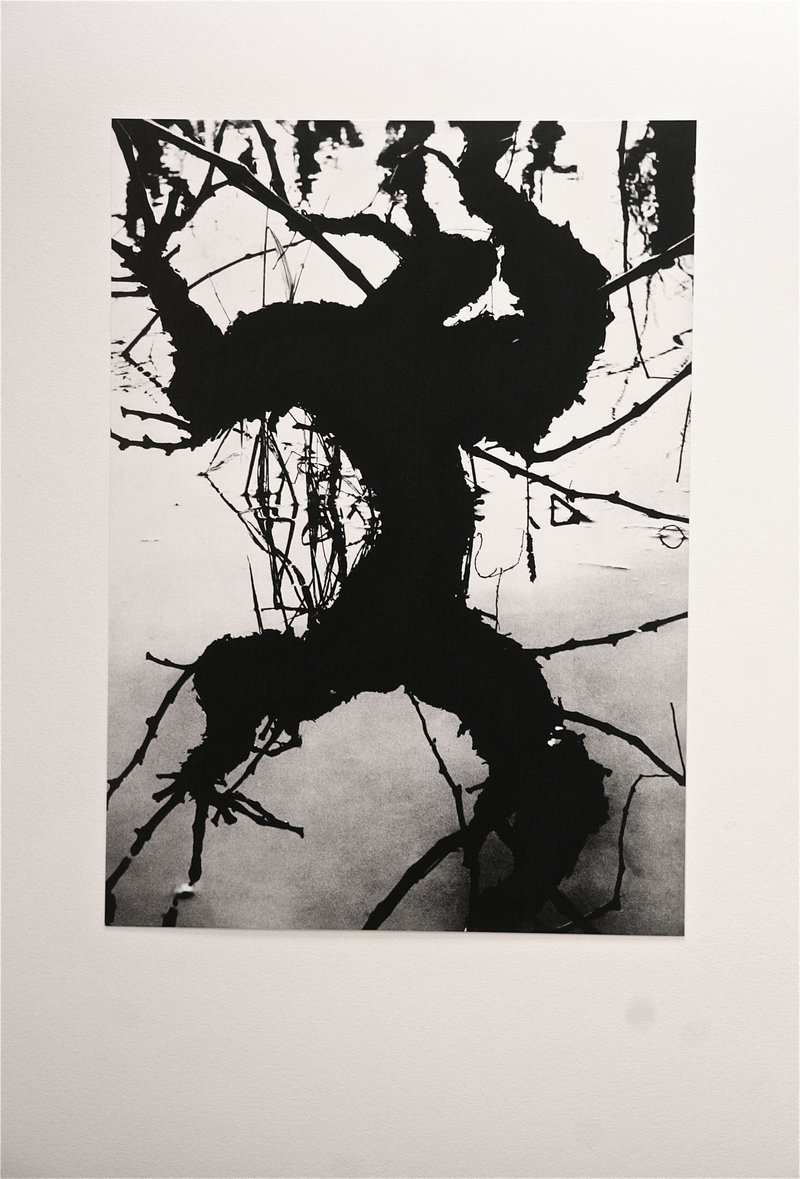 Exposition "La Camargue, un autre monde"