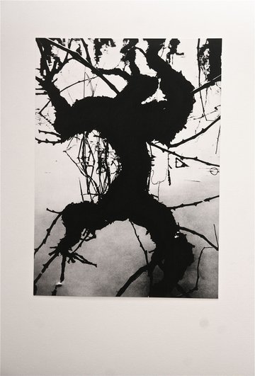 Exposition "La Camargue, un autre monde"