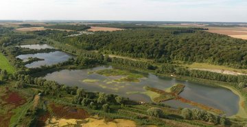 Les oiseaux migrateurs de la Réserve de Grand Laviers