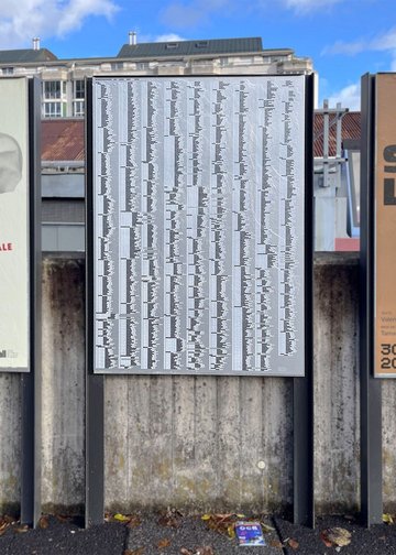 Affichage public #6: Singularité