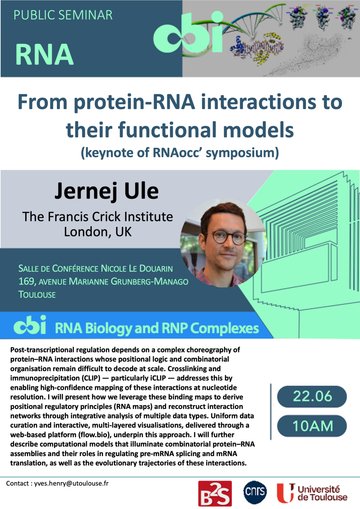 Jernej Ule - From protein-RNA interactions to their functional models (keynote of RNAocc’ symposium)